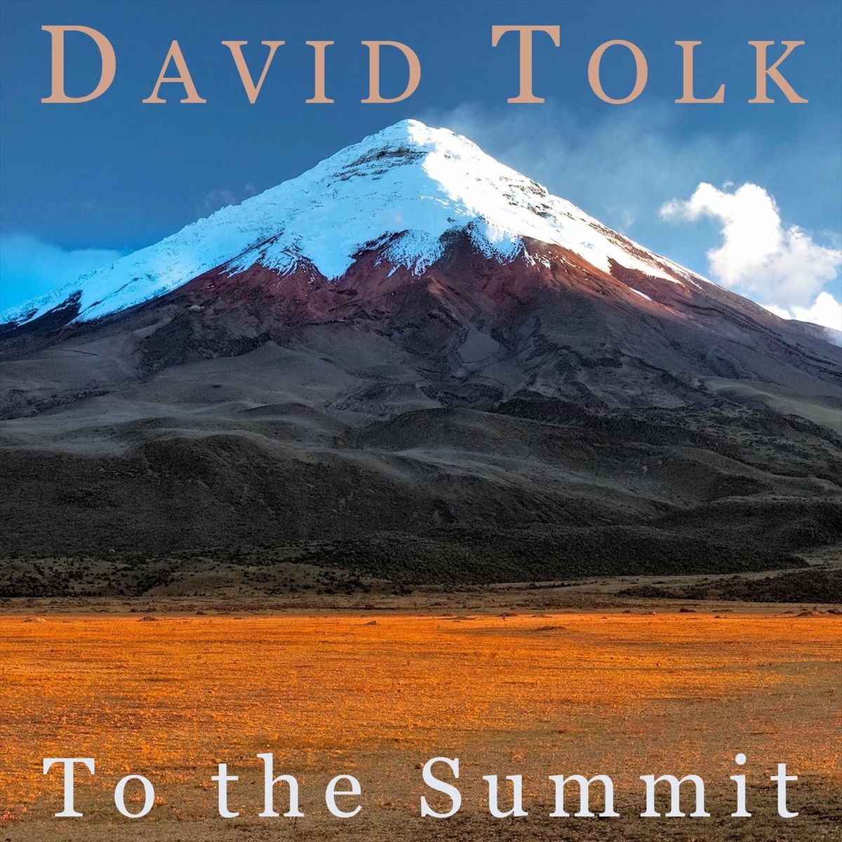 Album cover of To the Summit
