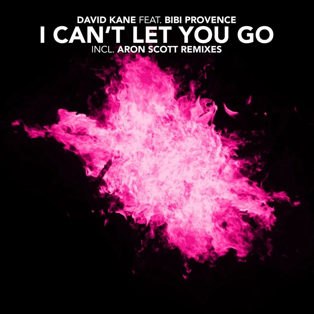 Picture of I Can't Let You Go (feat. Bibi Provence)