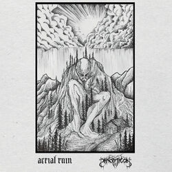 Cover of Panopticon