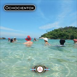 Cover of Ochocientox
