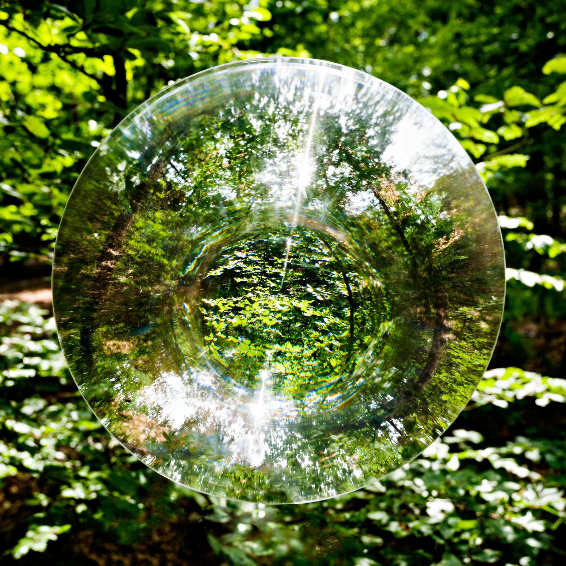 Album cover of Hayako (feat. Jamie Grace)