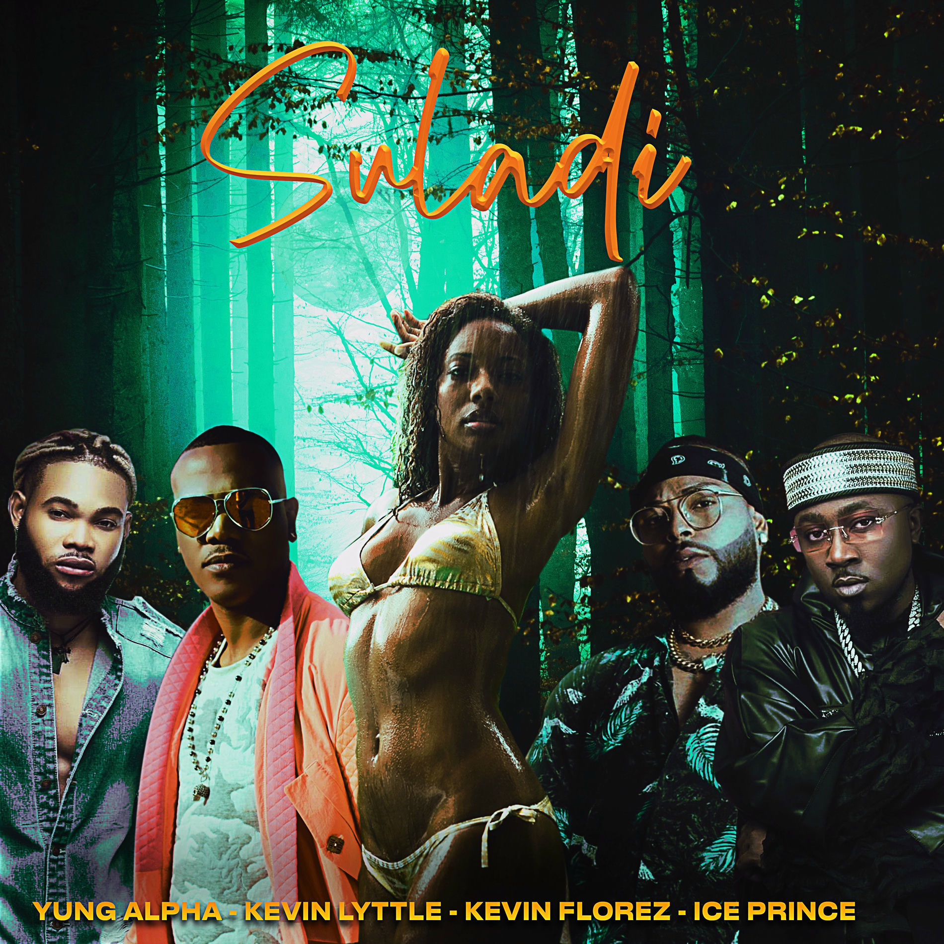 Album cover of Suladi