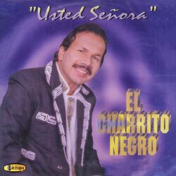 Cover of Usted Señora