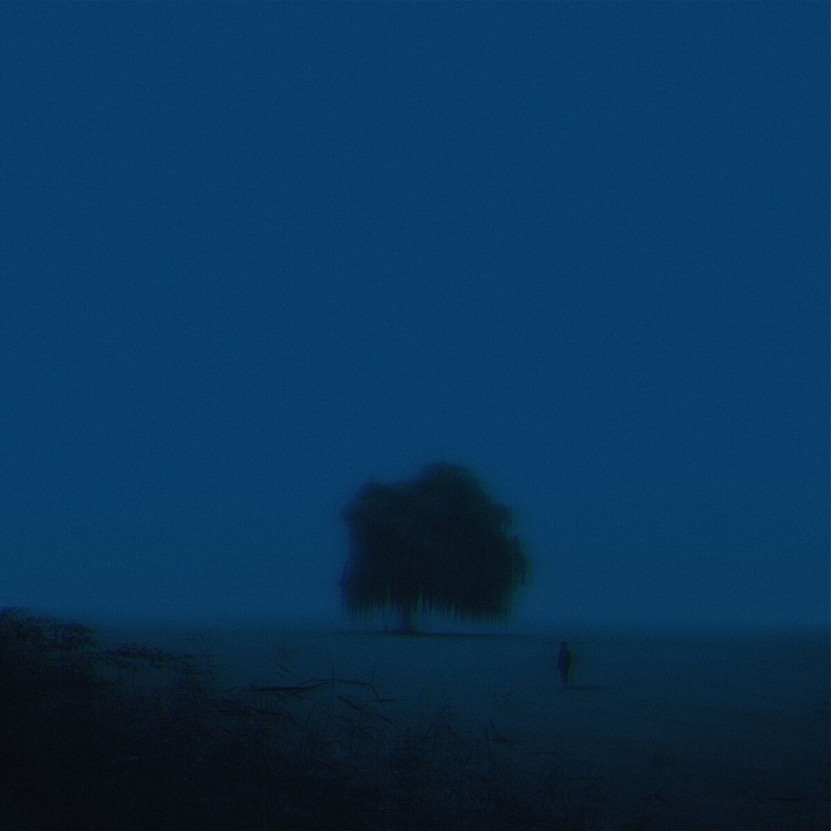 Album cover of asthma
