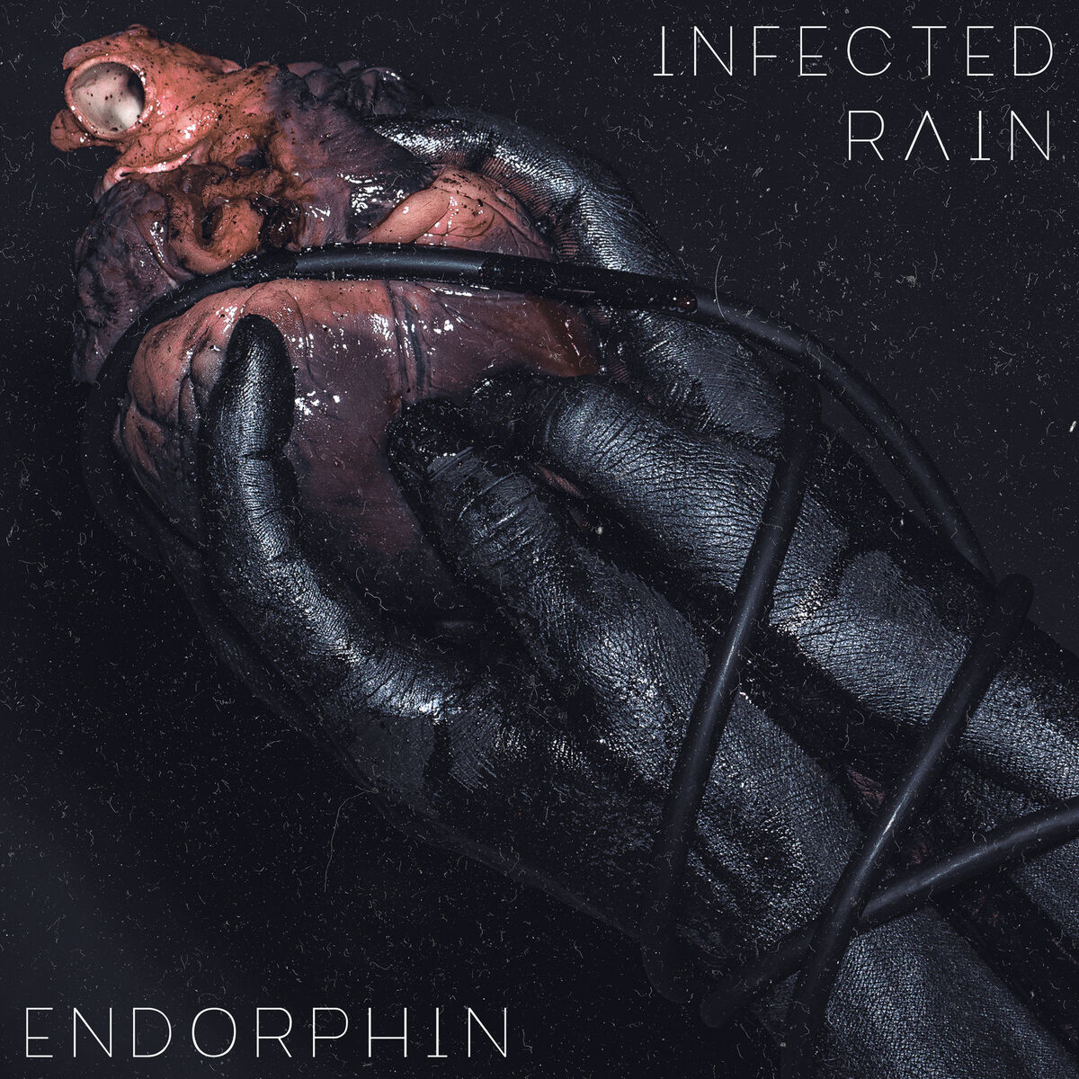 Album cover of Taphephobia