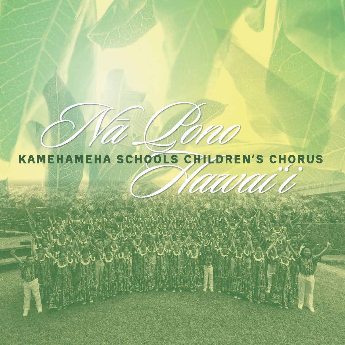 Album cover of Na Pono Hawaii