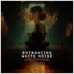 Cover of 2019Entrancing White Noise