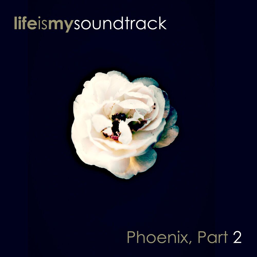 Picture of Phoenix, Pt. 2
