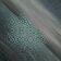 Holons