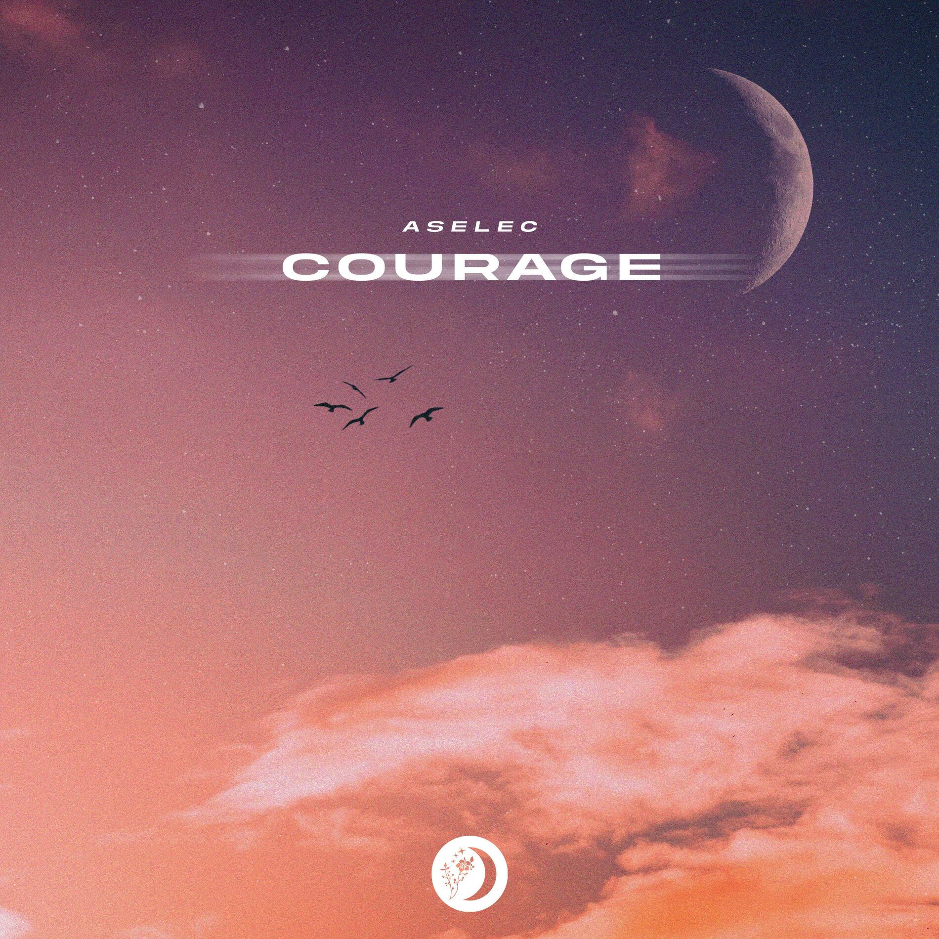 Album cover of Courage