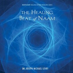 Cover of The Healing Beat of Naam