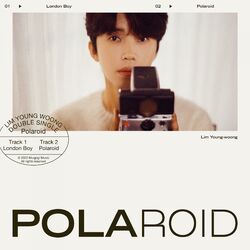 Cover of Polaroid
