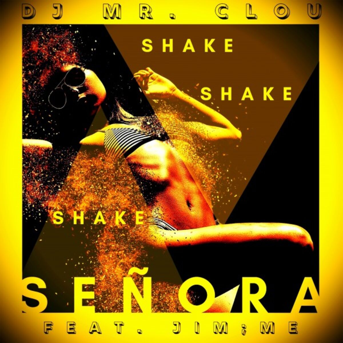 Album cover of Shake Señora