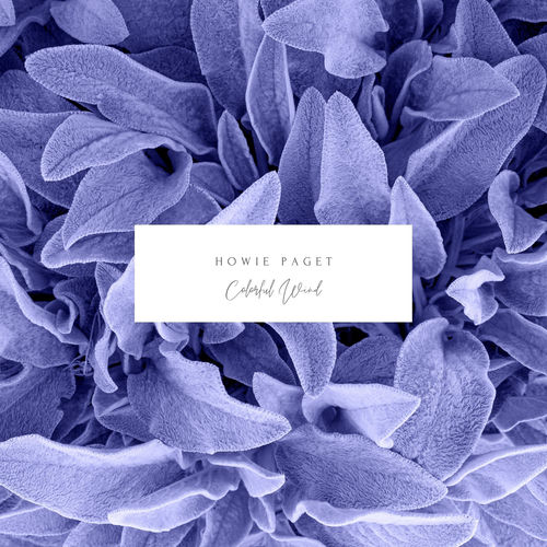 Colorful Wind by Howie Paget - 73 BPM & Key N/A