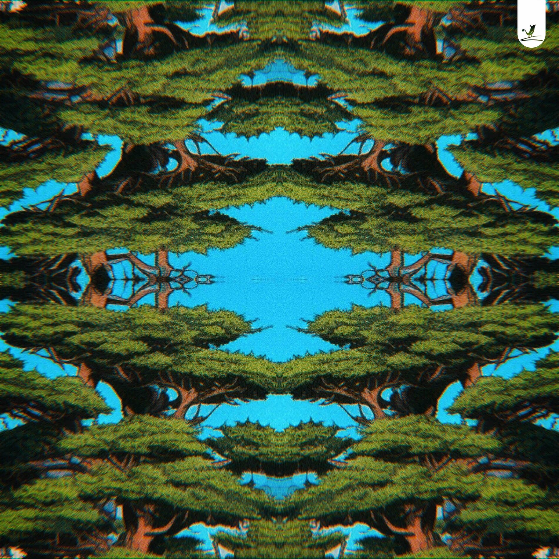 Album cover of Tent's View