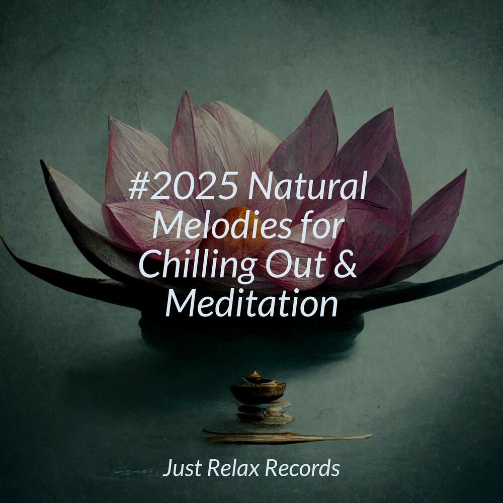 Picture of #2025 Natural Melodies for Chilling Out & Meditation