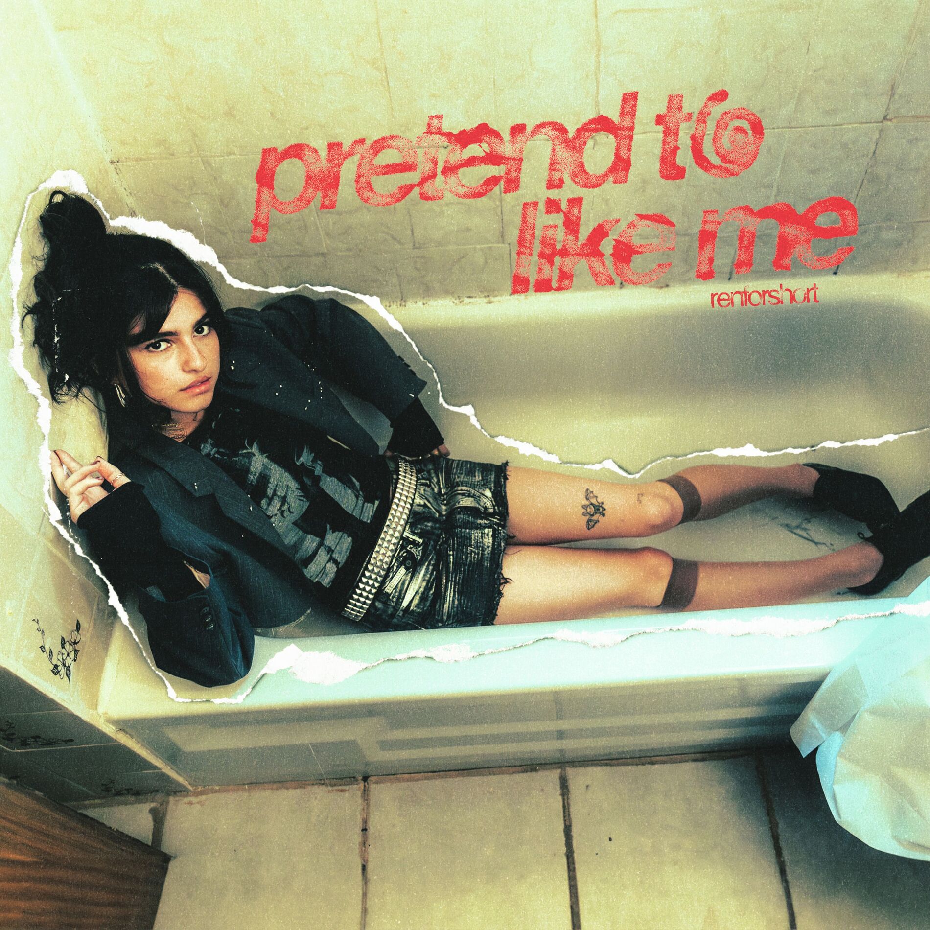 Album cover of pretend to like me