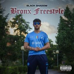 Cover of Bronx Freestyle