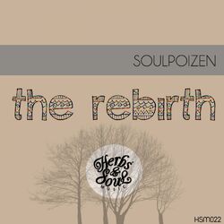 Cover of The Rebirth