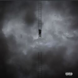 Cover of Perfect Imperfections