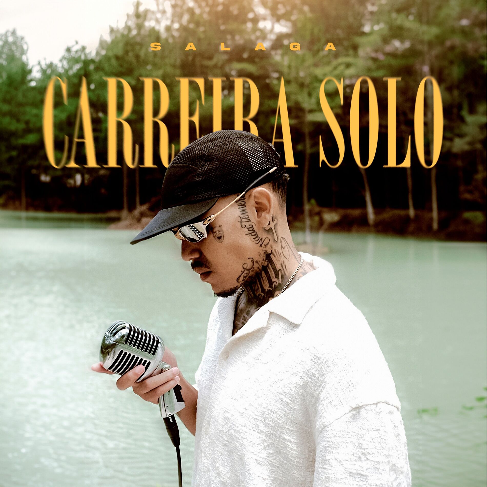 Album cover of Carreira Solo