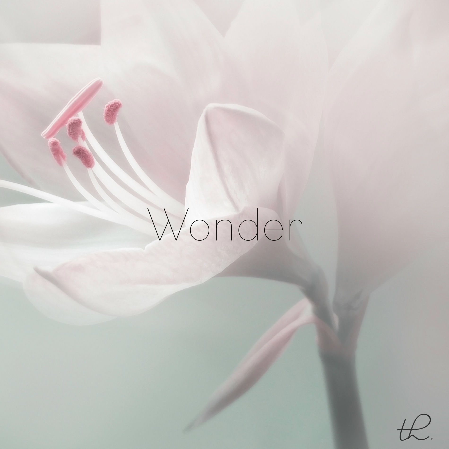 Album cover of Wonder