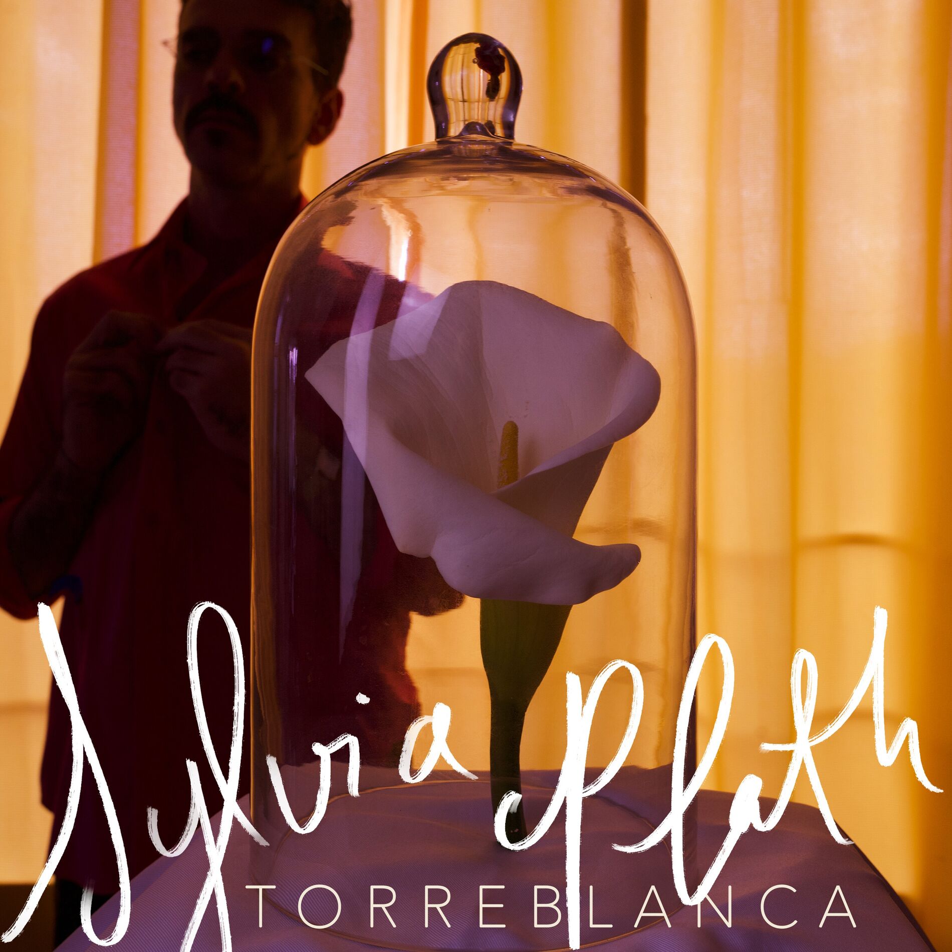 Album cover of Sylvia Plath