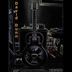 Cover of David Dunn
