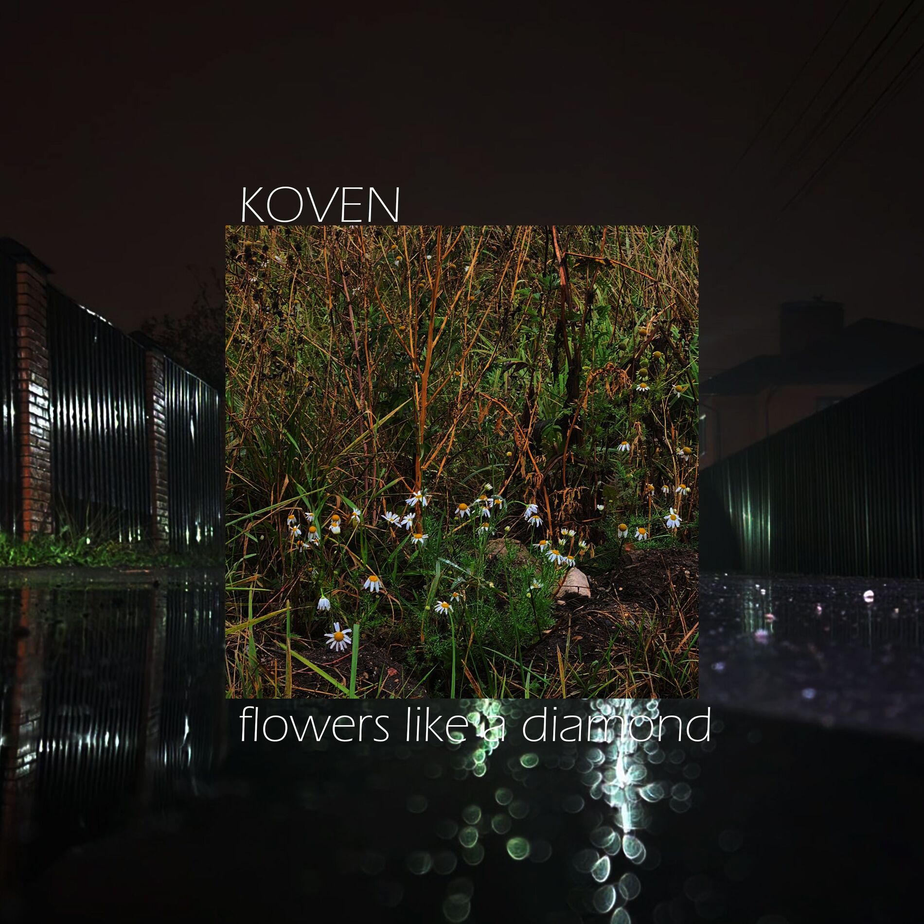 Album cover of Flowers Like a Diamond