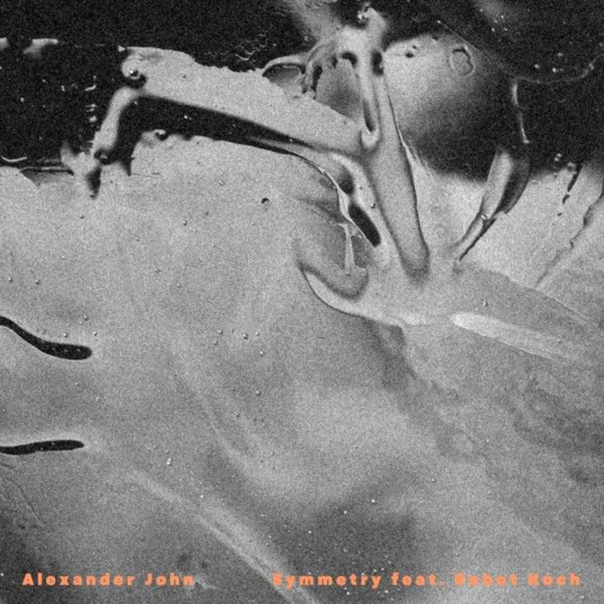 Album cover of Symmetry