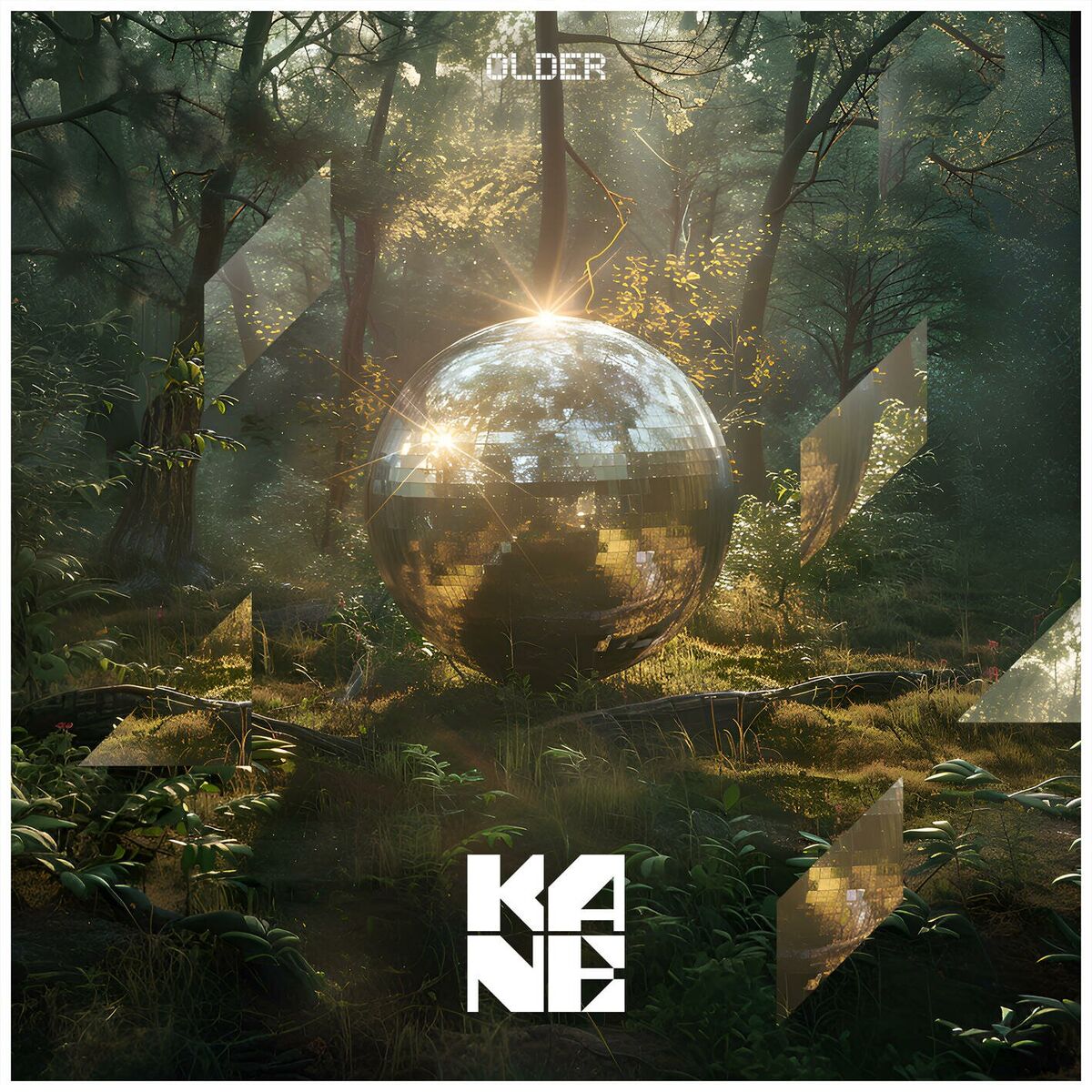 Album cover of Older