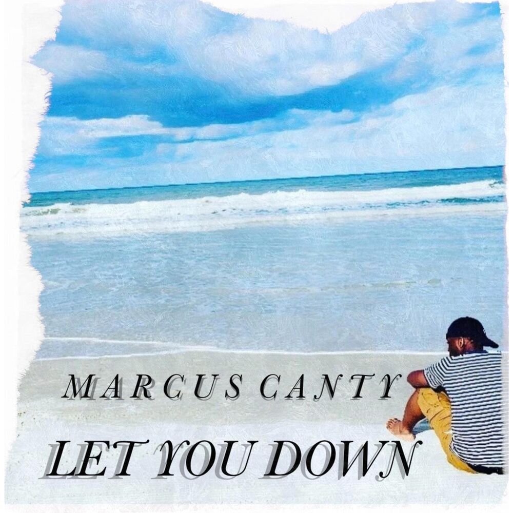 Picture of Let You Down