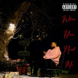 Cover of When You Need Me