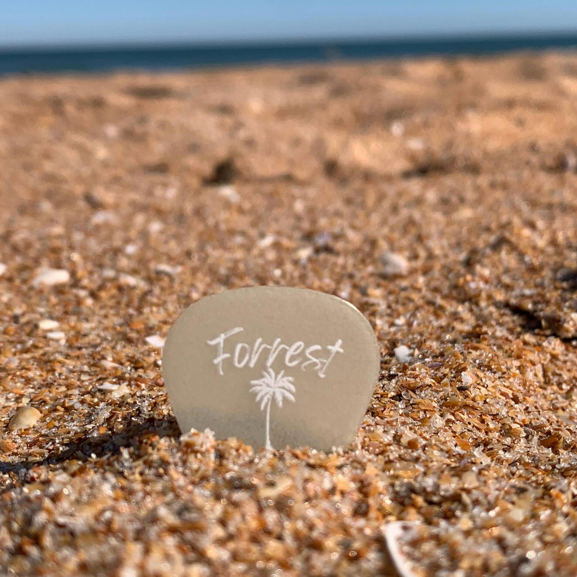 Album cover of Gone South