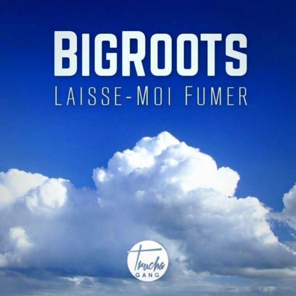 Picture of Laisse moi fumer