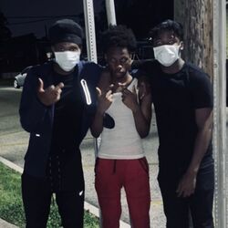 Cover of Mud