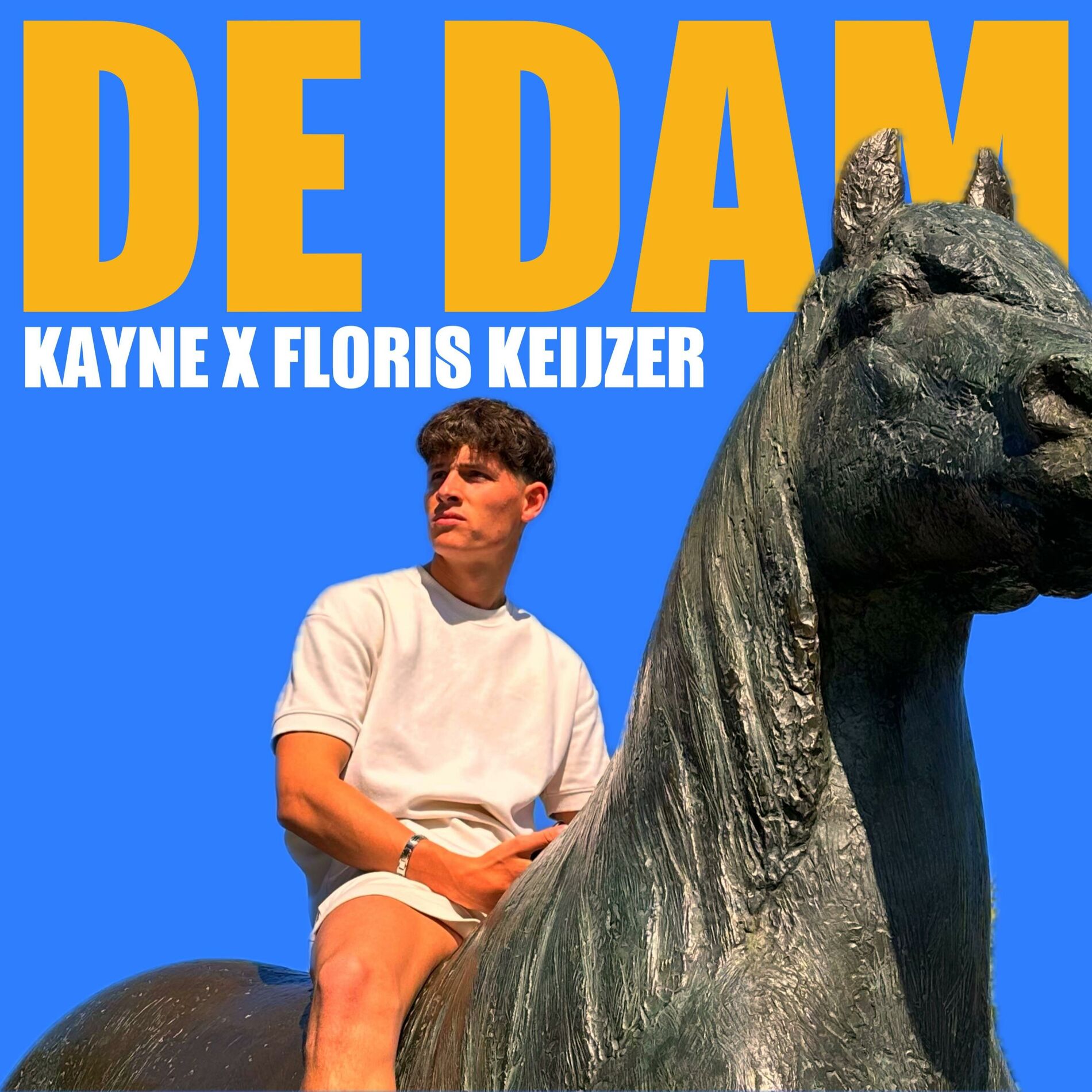 Album cover of De Dam (feat. Floris Keijzer)