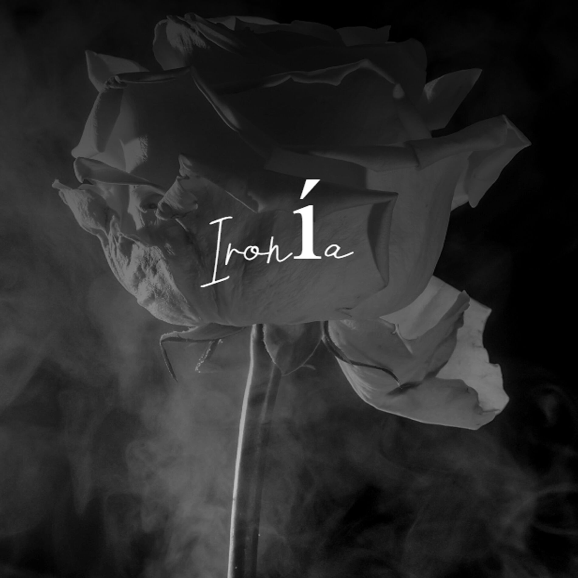 Album cover of Felíz Noche Buena