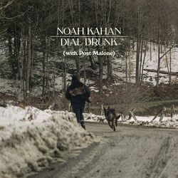 Cover of Dial Drunk