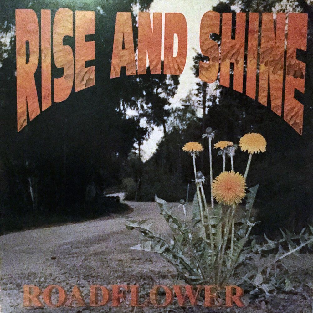 Picture of Roadflower