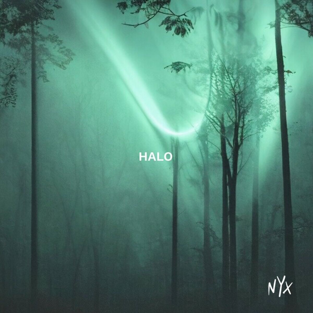 Album cover of Halo