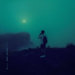 Cover of Your Only Limit is You