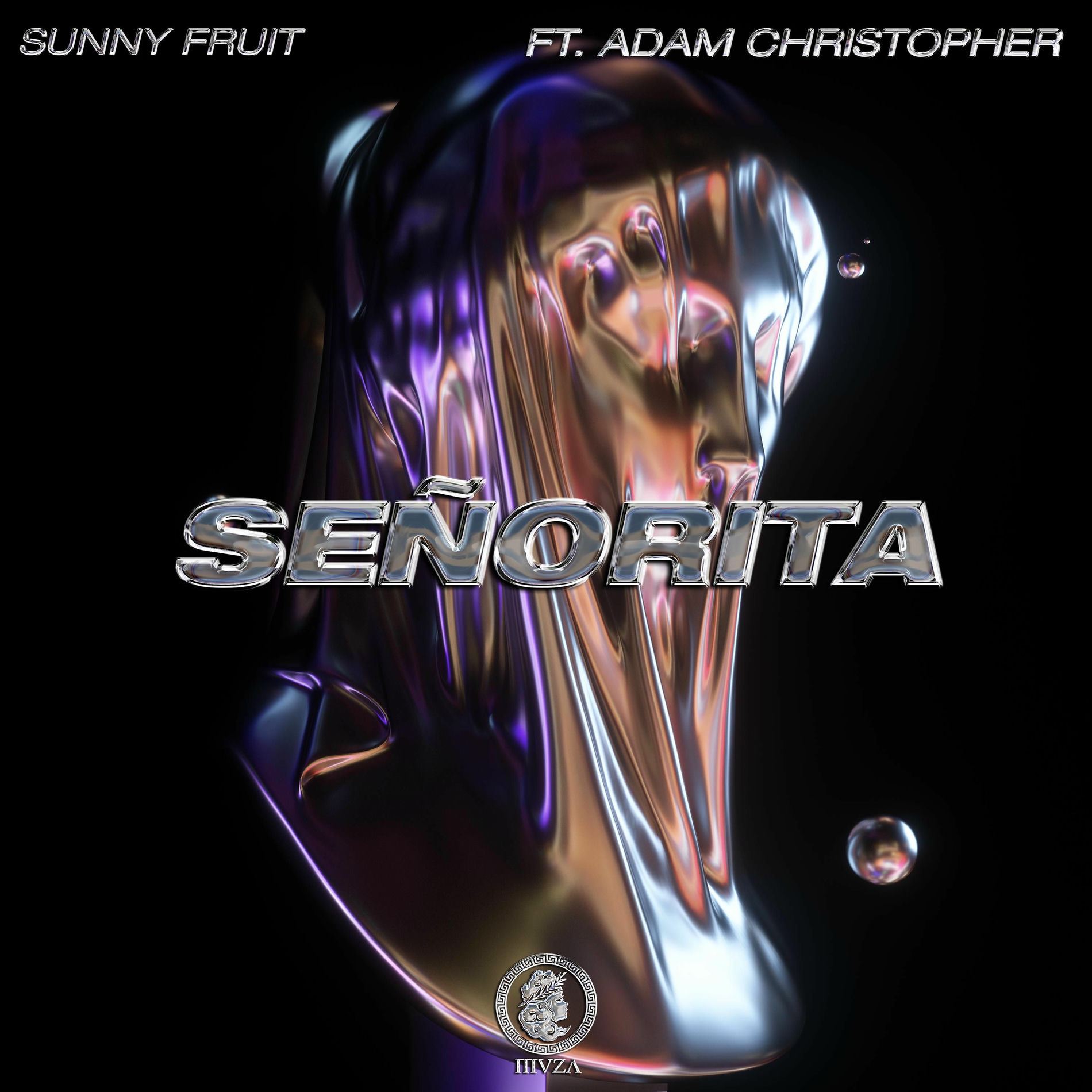 Album cover of Señorita (feat. Adam Christopher)