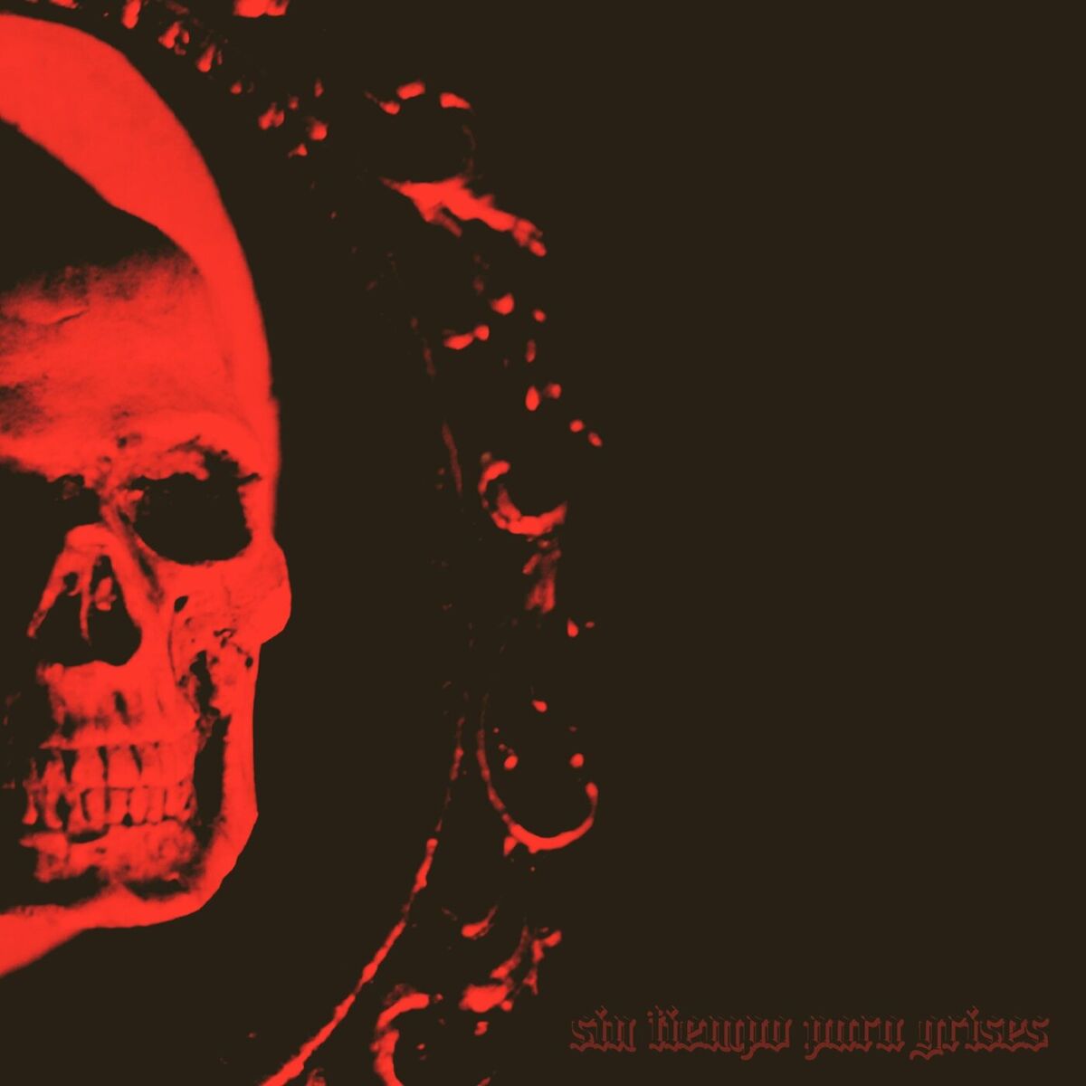 Album cover of Sin Tiempo Para Grises