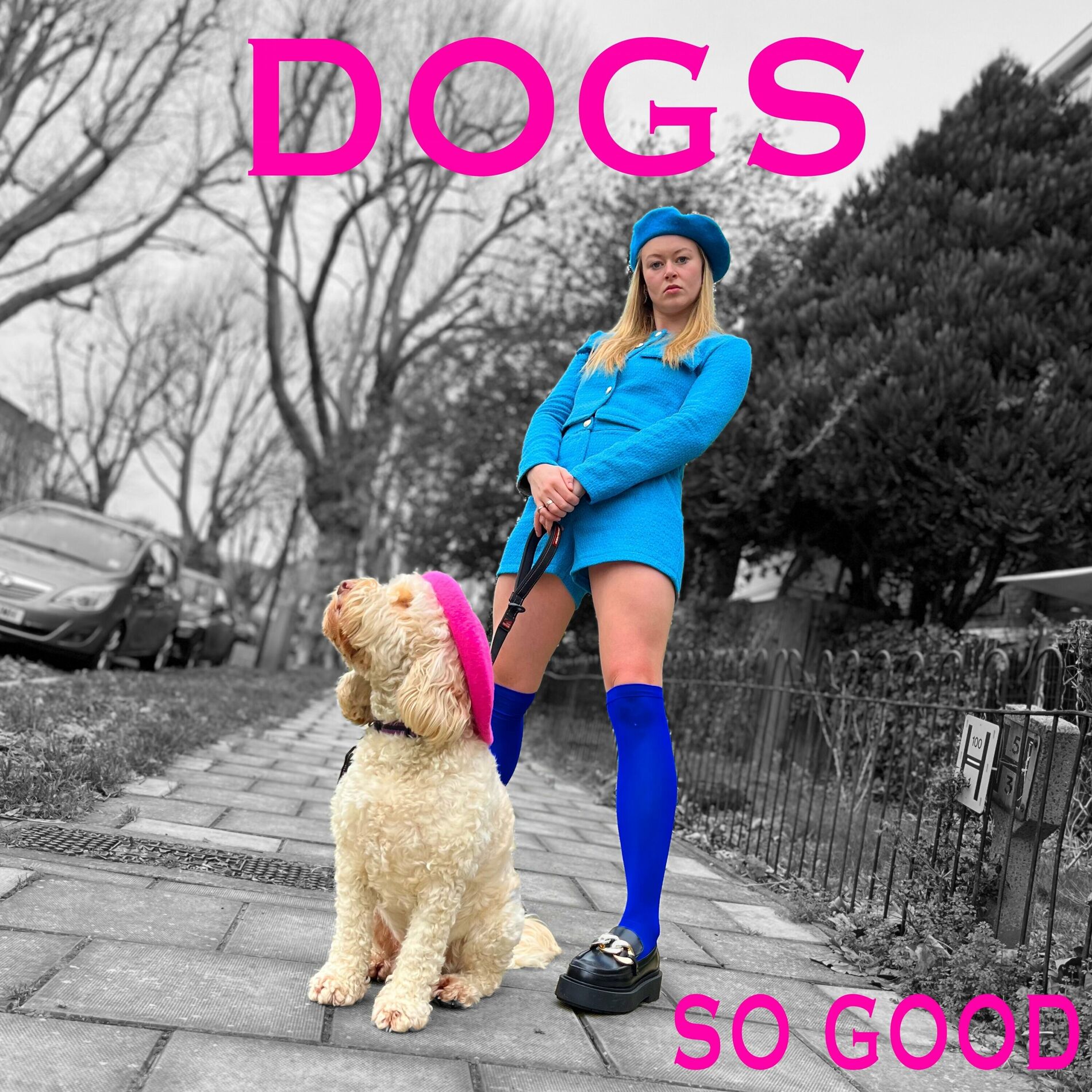 Album cover of Dogs
