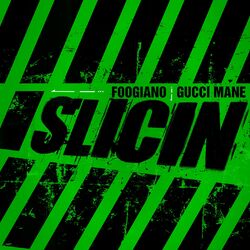 Cover of Slicin