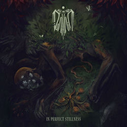 Capa de In Perfect Stillness