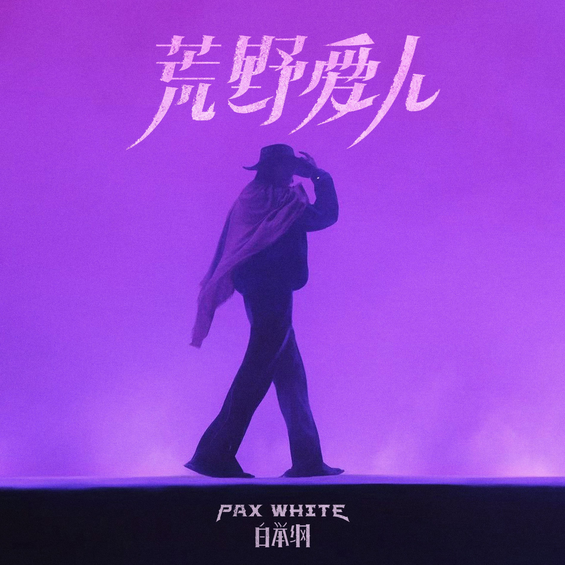 Album cover of 荒野爱人