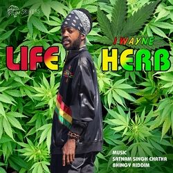 Cover of Life Herb