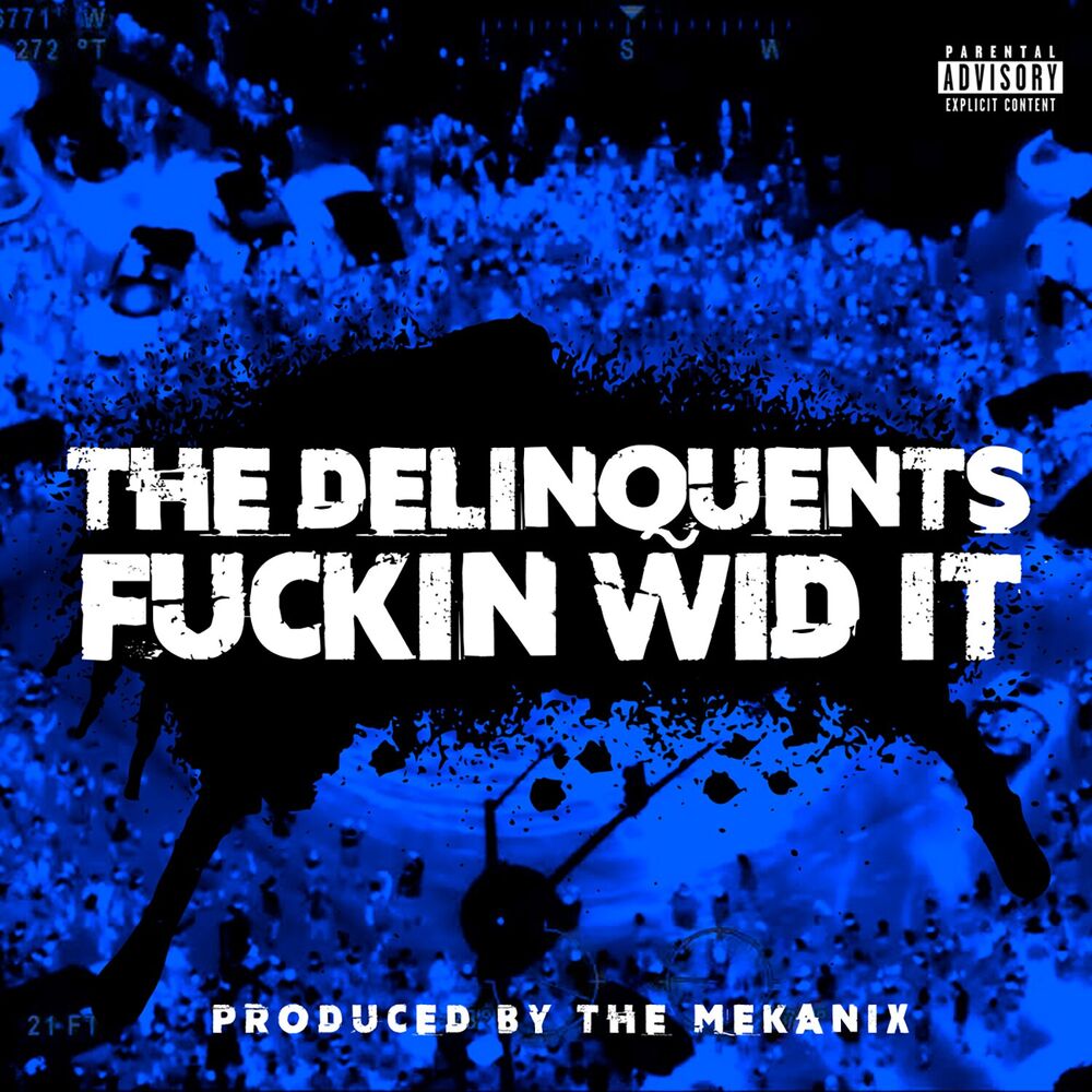 Picture of Fuckin Wid It